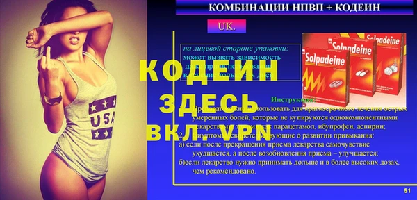 сатива Дмитриев
