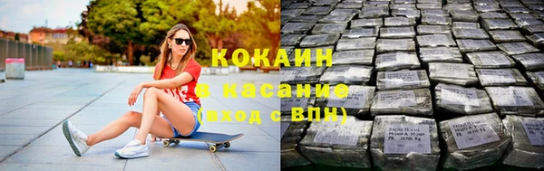 крисы Алексин