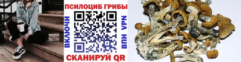 Галлюциногенные грибы Cubensis  Кулебаки 